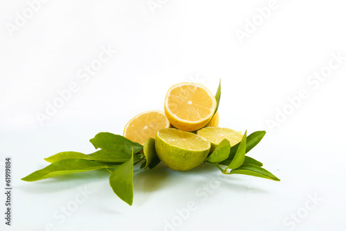 Photo: Zitronen und Limetten Zitronen und Limetten