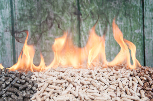 Photo: Pellets- Biomass Pellets- Biomass