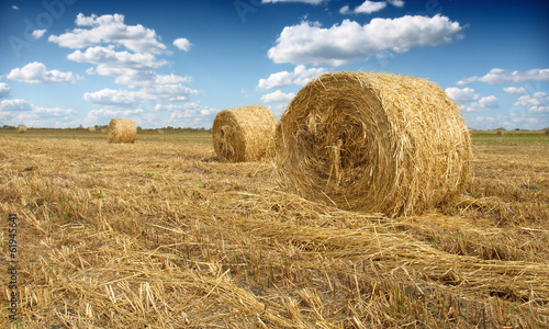 Photo: Hay bale in the countryside Hay bale in the countryside