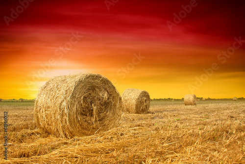Photo: Hay bale in the countryside Hay bale in the countryside