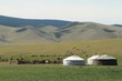 Jurten Siedlung in der mongolischen Steppe Jurten Siedlung in der mongolischen Steppe