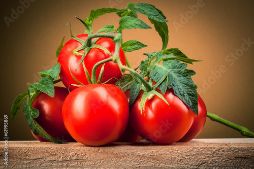 Photo: Organic tomato. Branch with leaves Organic tomato. Branch with leaves