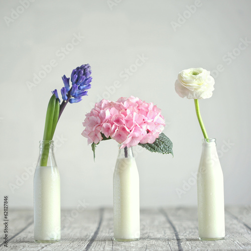 Photo: Bulbous flowers: Hyacinth,Hydrangea,Ranunculus Bulbous flowers: Hyacinth,Hydrangea,Ranunculus