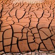 Dried Soil / Mud Cracks Dried Soil / Mud Cracks