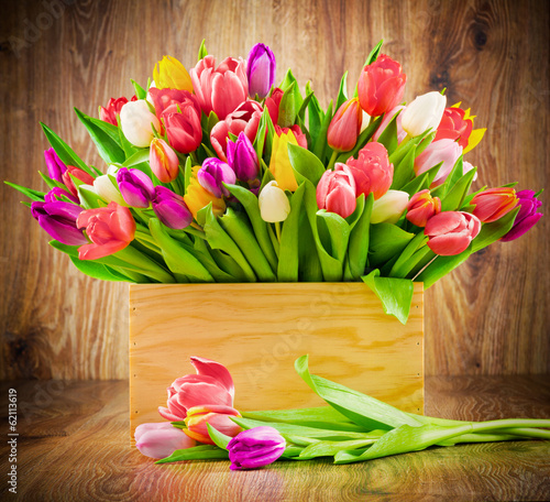 Tulips in the box