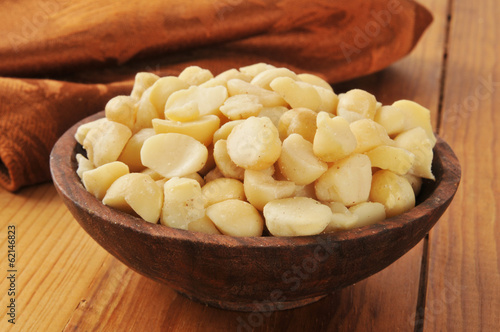 Photo: Macadamia nuts Macadamia nuts