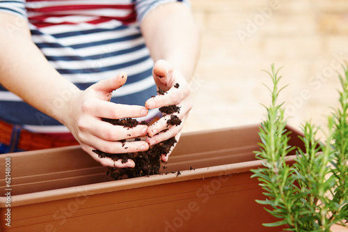 Photo: Hands pouring soil on a pot Hands pouring soil on a pot