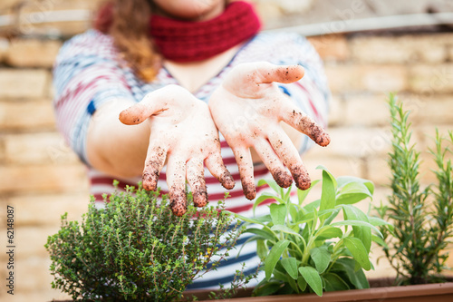 Photo: Dirty hands of soil Dirty hands of soil