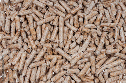 Photo: Biomass Biomass