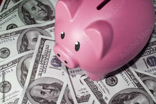 Photo: Pink Piggy Bank on Money Pink Piggy Bank on Money