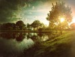 Beautiful meadow with sunset Beautiful meadow with sunset