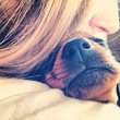 Sleeping Dog Sleeping Dog