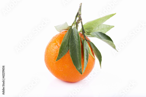 Photo: Tangerine on white background Tangerine on white background