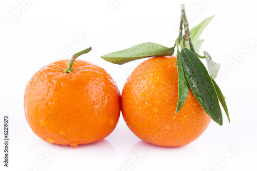Photo: Tangerine on white background Tangerine on white background