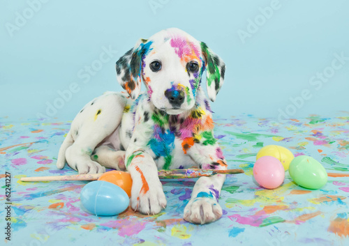  Easter Dalmatain Puppy