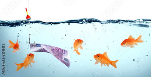 Photo: goldfish in danger - euro as bait - concept deception goldfish in danger - euro as bait - concept deception