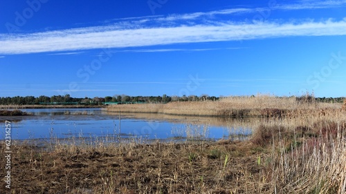 Instant Collection: Orbetello Lagoon, Tuscany, Italy Orbetello Lagoon, Tuscany, Italy