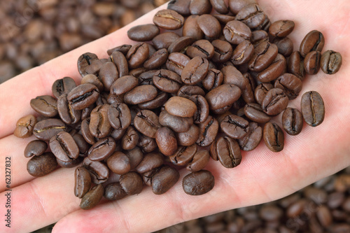 Photo: Agriculture, close up of roasted coffee beans in human hand Agriculture, close up of roasted coffee beans in human hand