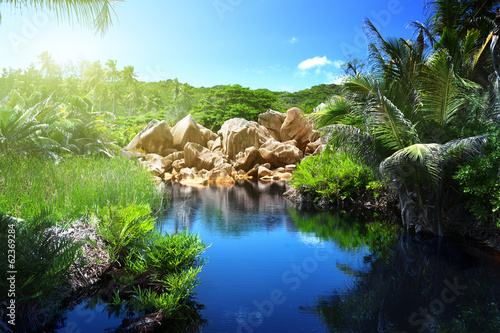 Illustration: lake in jungle of Seychelles, La Digue island lake in jungle of Seychelles, La Digue island