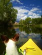 Cute puppy on a kayak ride floating on the water. Cute puppy on a kayak ride floating on the water.