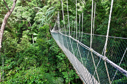 Photo: rope bridge rope bridge