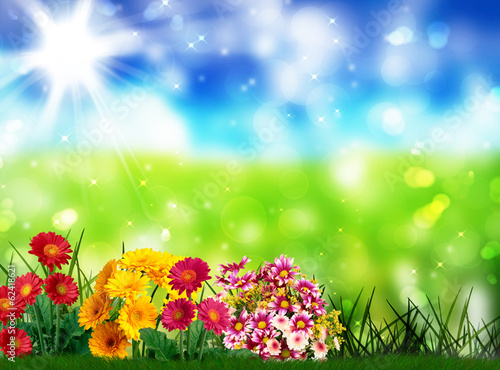 Photo: Fiori di primavera Fiori di primavera
