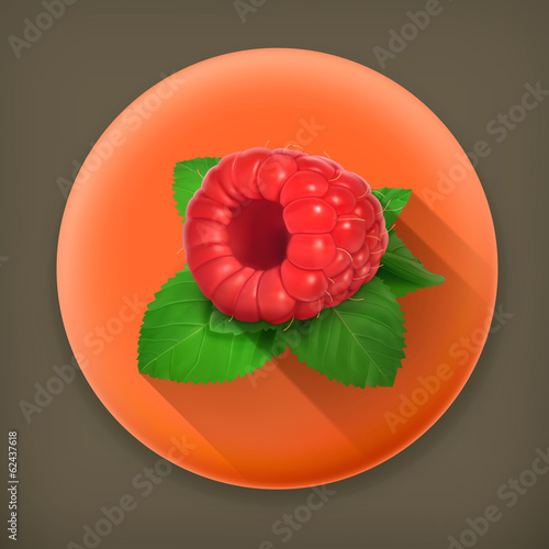 Vector: Raspberries and mint long shadow vector icon Raspberries and mint long shadow vector icon