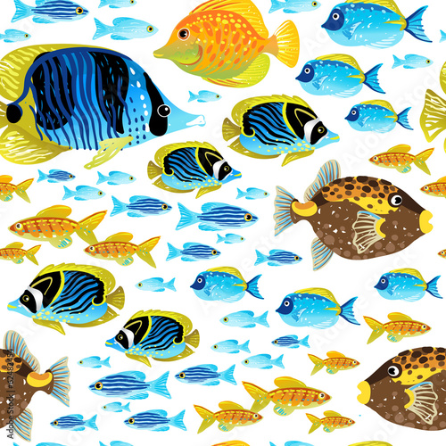 Fototapeta Bright seamless pattern with sea fish.