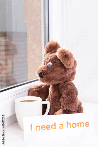Photo: Toy-bear looking out window close-up Toy-bear looking out window close-up