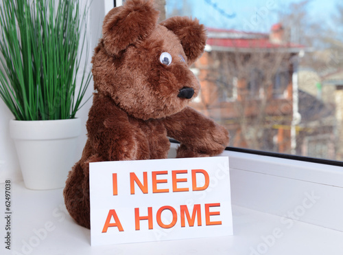 Photo: Toy-bear looking out window close-up Toy-bear looking out window close-up