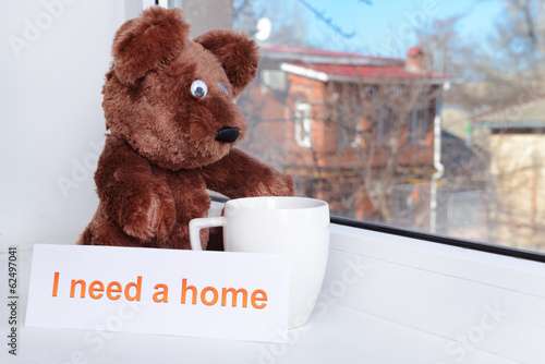 Photo: Toy-bear looking out window close-up Toy-bear looking out window close-up