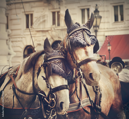 Photo: Coach in Vienna Coach in Vienna