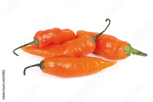 Photo: chili chili