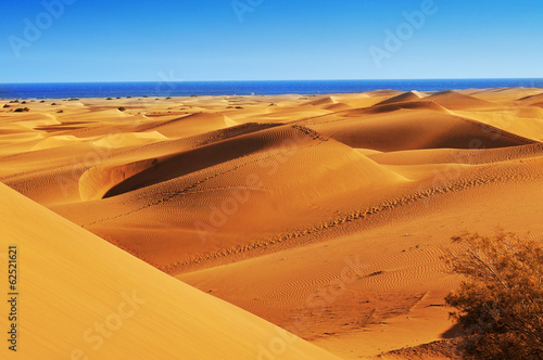 Photo: Natural Reserve of Dunes of Maspalomas, in Gran Canaria, Spain Natural Reserve of Dunes of Maspalomas, in Gran Canaria, Spain