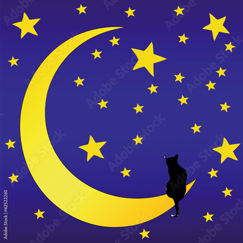 Illustration: The Cat in front of a starry sky The Cat in front of a starry sky