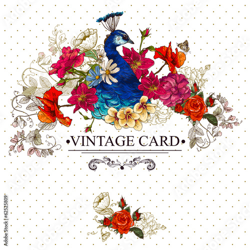 Vector: Floral Vintage Card with Peacock Floral Vintage Card with Peacock