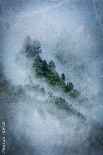 Photo: Trees in clouds Trees in clouds