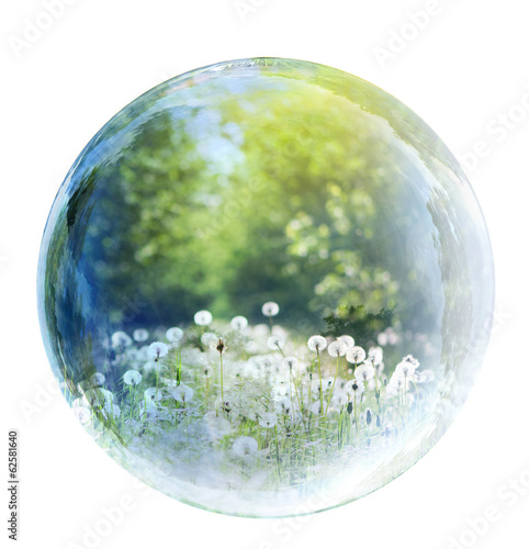 Photo: nature bubble nature bubble