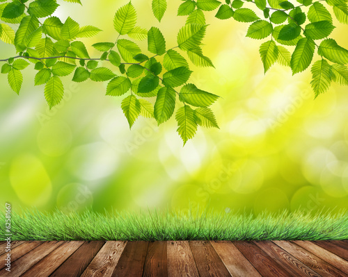 Photo: summer garden background summer garden background