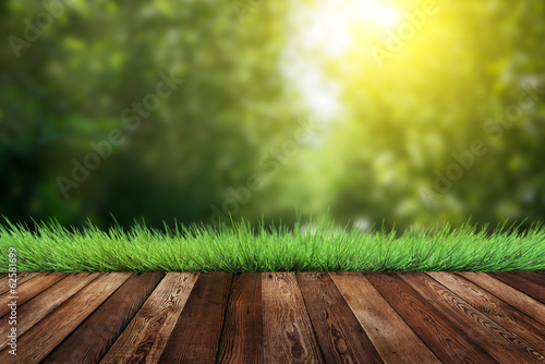 Photo: summer garden background summer garden background
