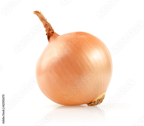 Photo: Onion Isolated on White Background Onion Isolated on White Background