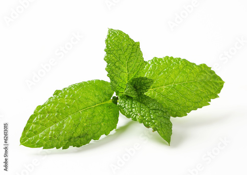 Photo: Fresh mint leaves Fresh mint leaves