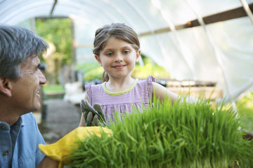 Photo: On The Farm. A Glasshouse. Trays Of Fresh Green Herbs. An Adult And A Child Tending To The Plants. A Man And A Young Girl. On The Farm. A Glasshouse. Trays Of Fresh Green Herbs. An Adult And A Child Tending To The Plants. A Man And A Young Girl.