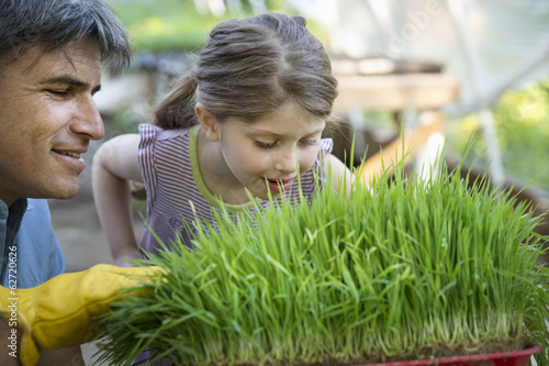 Photo: On The Farm. A Glasshouse Workbench Holdings Trays Of Fresh Green Herbs And Plants. A Man And A Young Girl Leaning Over To Inhale The Fresh Smells Of The Plants. On The Farm. A Glasshouse Workbench Holdings Trays Of Fresh Green Herbs And Plants. A Man And A Young Girl Leaning Over To Inhale The Fresh Smells Of The Plants.