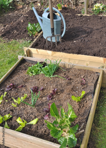 Photo: carré potager carré potager