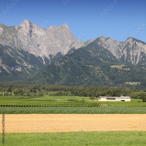 Photo: Switzerland agriculture and Alps Switzerland agriculture and Alps