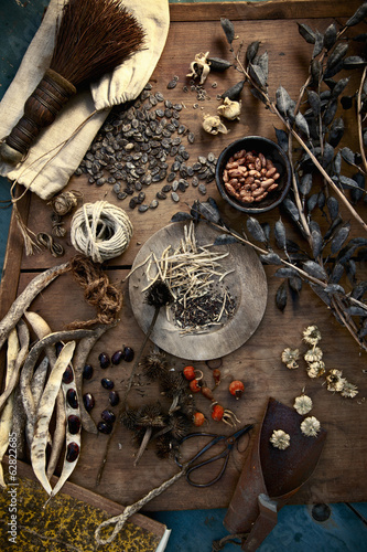 Photo: Collecting and storing the fruits of the garden for winter, dried seeds, herbs, nuts and vegetables. Seeds for the garden. Collecting and storing the fruits of the garden for winter, dried seeds, herbs, nuts and vegetables. Seeds for the garden.