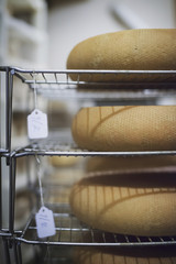 Photo: A small organic dairy farm with a mixed herd of cows and goats. Dairy building with large wheels of cheese maturing. A small organic dairy farm with a mixed herd of cows and goats. Dairy building with large wheels of cheese maturing.