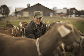 Photo: A small organic dairy farm with a mixed herd of cows and goats. Farmer working and tending to the animals. A small organic dairy farm with a mixed herd of cows and goats. Farmer working and tending to the animals.