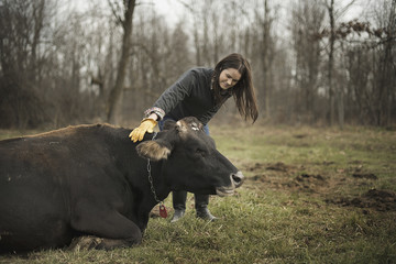 Photo: A small organic dairy farm with a mixed herd of cows and goats. Farmer working and tending to the animals. A small organic dairy farm with a mixed herd of cows and goats. Farmer working and tending to the animals.